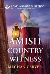 Icon image Amish Country Witness